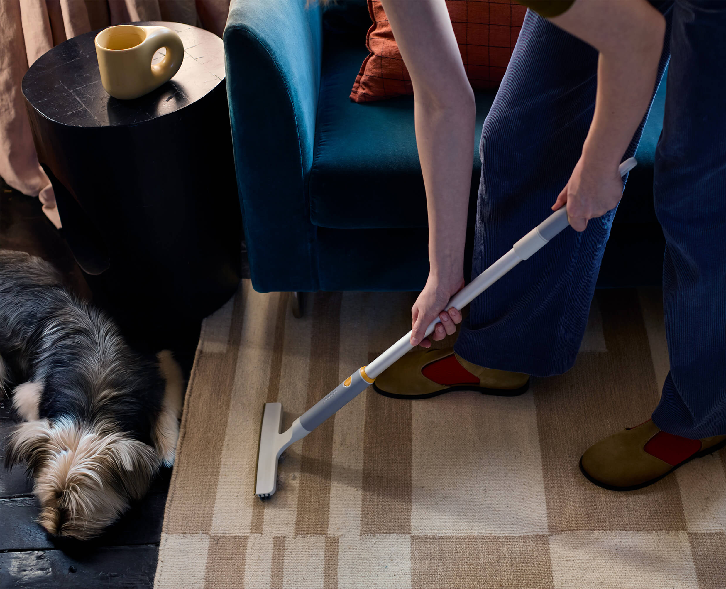 CleanTech Pet Hair & Carpet Cleaning Set - Image 4